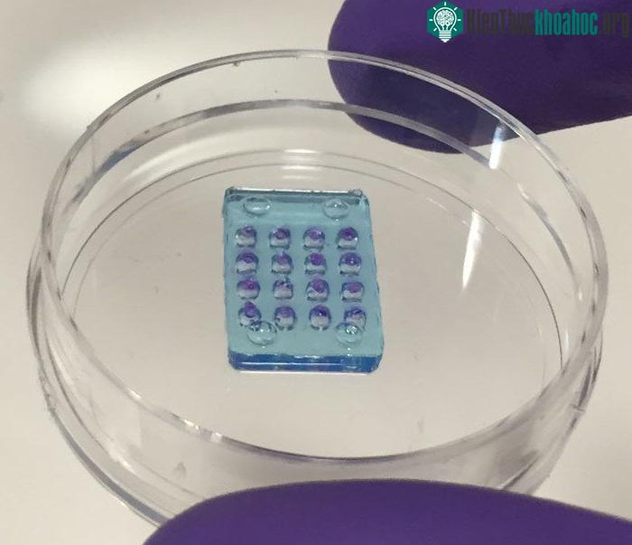  Võng mạc sinh học tạo ra từ các hạt nước hydrogel và protein nhạy sáng. 