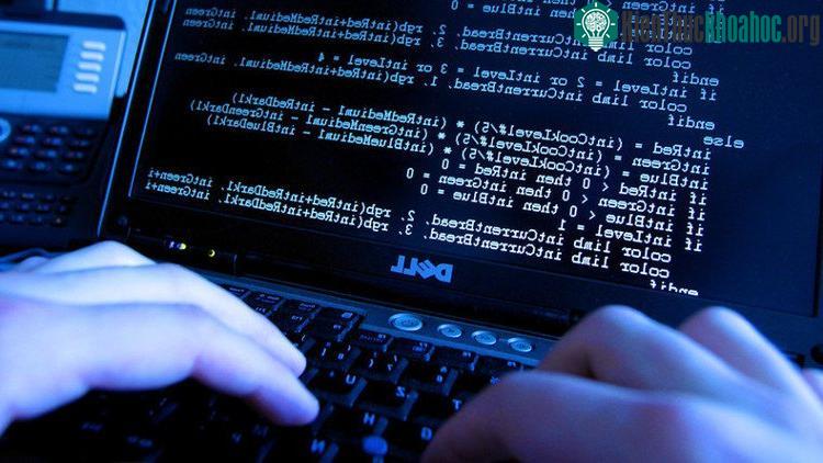 WannaCry không chỉ là một phần mềm virus tống tiền, nó còn được coi là một loại "sâu" máy tính. (Ảnh minh họa: Global Look Press).