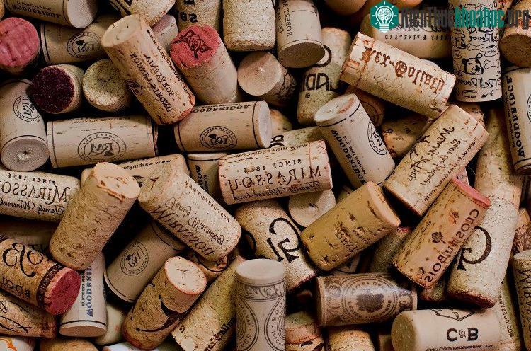 Nút chai bần tuy nhỏ bé nhưng lại có thể chống lại quá trình lão hóa rượu.