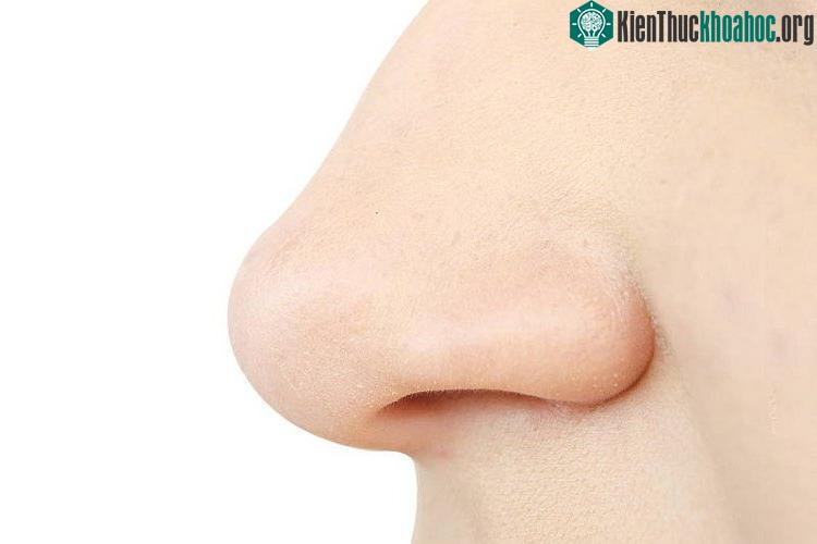Mùi là cảm giác hóa học gây ra bởi sự tác động của các phân tử chất bay hơi sau khi vào mũi.