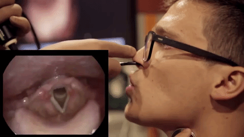 Và sự khác biệt ở phần họng khi bạn biểu diễn beatbox.