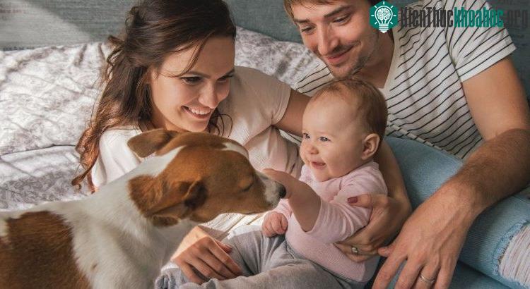 Thú cưng trước đây từng được khẳng định có lợi cho sự phát triển của nhóm trẻ em bị mắc chứng tự kỷ.