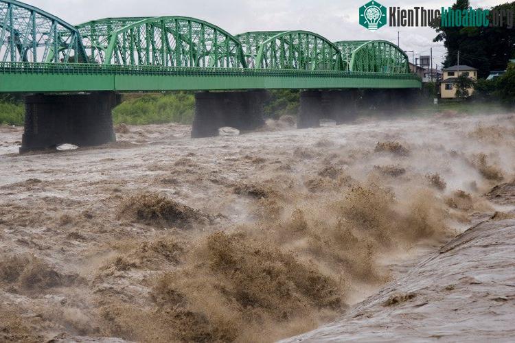Mưa ngập lớn do bão Lionrock gây ra.