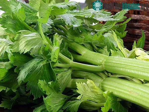 Cần tây nhiều vitamin K. (Ảnh: Internet).