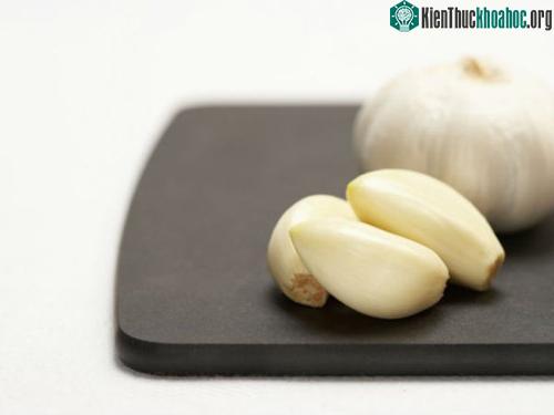 Tỏi có tác dụng vô cùng lớn đối với sức khỏe. Tăng cường hệ xương, tăng khả năng miễn dịch, giảm huyết áp, kéo dài tuổi thọ và làm sạch độc tố bên trong cơ thể.