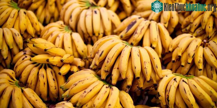 Chuối giàu năng lượng, protein và vitamin cần thiết cho cơ thể.