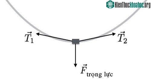 Sợi dây điện bị tác động bởi hai lực căng T và trọng lực của Trái Đất. (Ảnh: Wired).