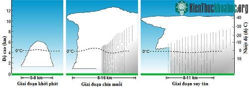 Các giai đoạn hình thành cơn giông. (Đồ họa: NSSL).