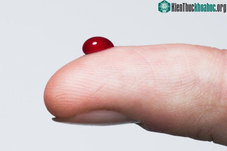Máu trên da có thể là một nguồn máu vô tận...