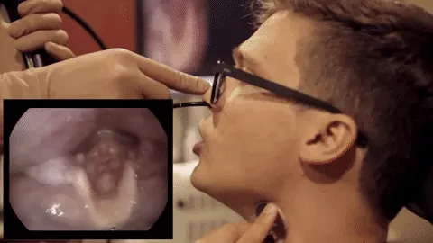 Phần vòm miệng, cụ thể lưỡi là phần chịu trách nhiệm lớn về âm thanh của beatboxer.