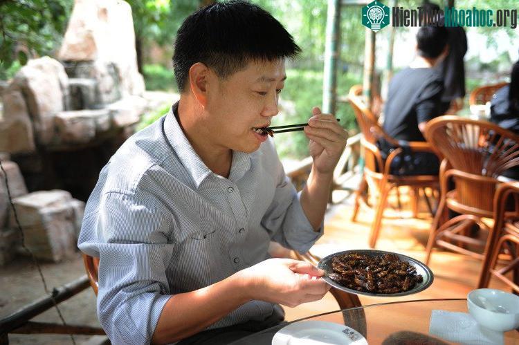 Tuy nhiên, ăn côn trùng có thể ngộ độc dẫn đến tử vong. (Ảnh minh họa: Internet).
