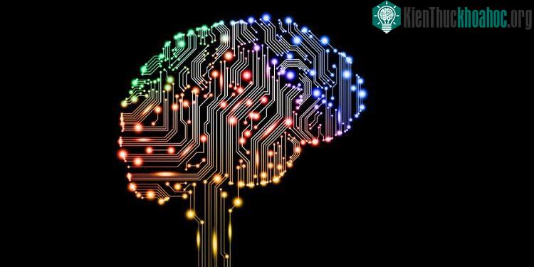 AlphaGo đang suy nghĩ theo cách của con người, nhưng nhanh hơn rất nhiều.