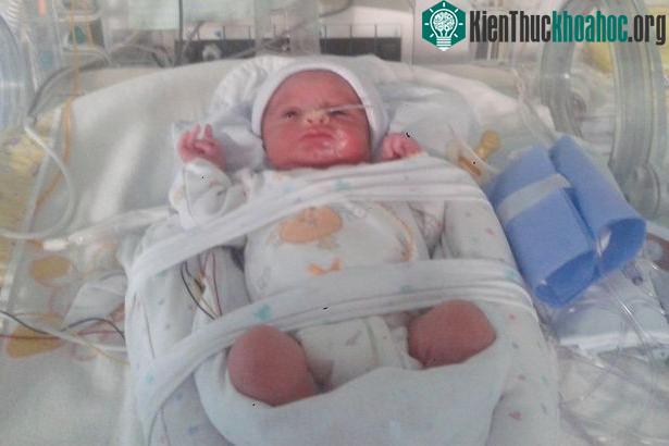 Đứa trẻ được đặt tên là Lourenço Salvado.