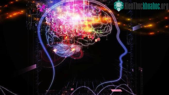 Thuốc thông minh Qualia giúp điều chỉnh lại các yếu tố hóa học có sẵn trong não và cấu trúc sẵn có của não.