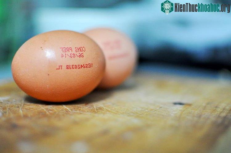 Mỗi ký hiệu đều giúp người tiêu dùng xác định nguồn gốc xuất xứ của chúng.