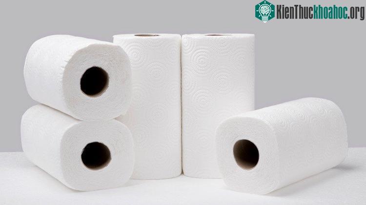 Ngành công nghiệp giấy đã tạo ra những con số biết nói, đủ để khiến bất kỳ ai cũng phải rùng mình.