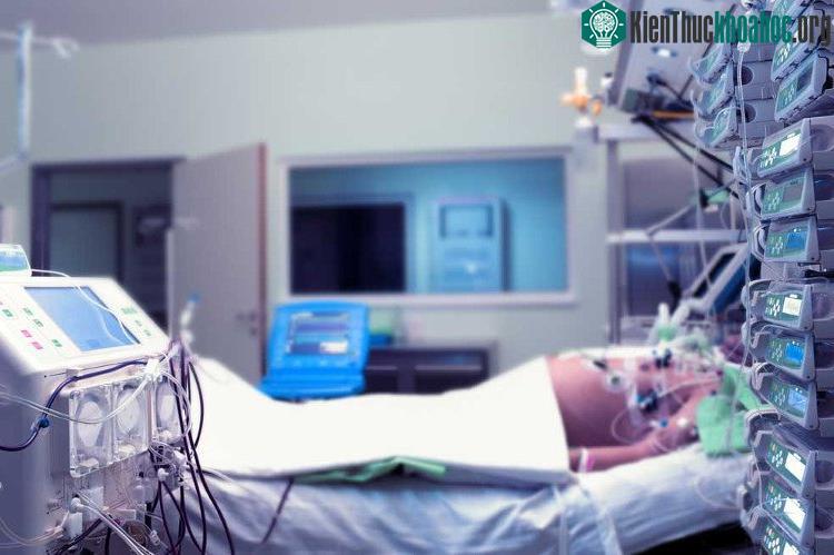 Hồi sinh hoàn toàn một bộ não người về trạng thái nguyên vẹn, như chưa từng bị chấn thương vẫn là một chặng đường dài.