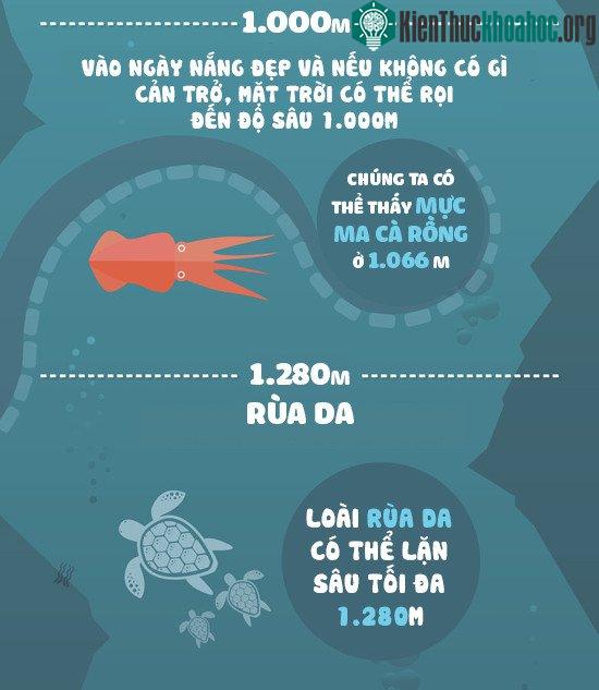 Đáy biển sâu 1000m