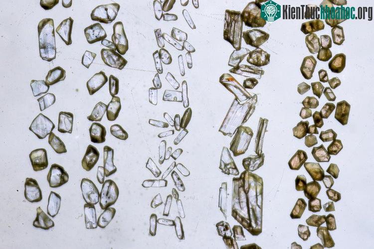 Mẫu khoáng chất Zircon.
