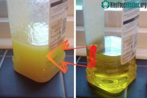Dầu olive thật sẽ tạo một lớp lắng dưới đáy chén sau khi để tủ lạnh qua đêm.