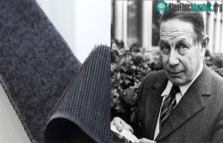 Khoá dính Velcro ra đời khi George de Mestral thấy nhưng bông hoa dính vào quần áo của mình có sợi tua hình cái móc.