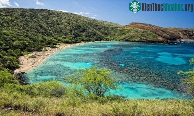 Khu bảo tồn Thiên nhiên Vịnh Hanauma nằm ở quần đảo Hawaii, Mỹ.