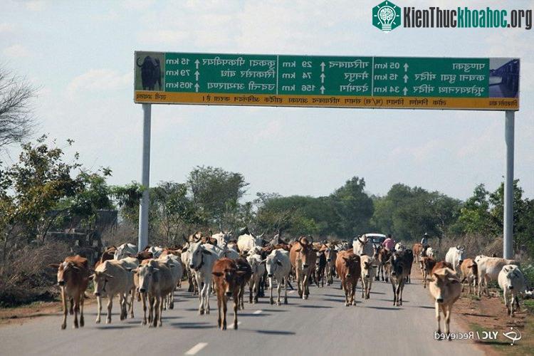 Chhattisgarh, India