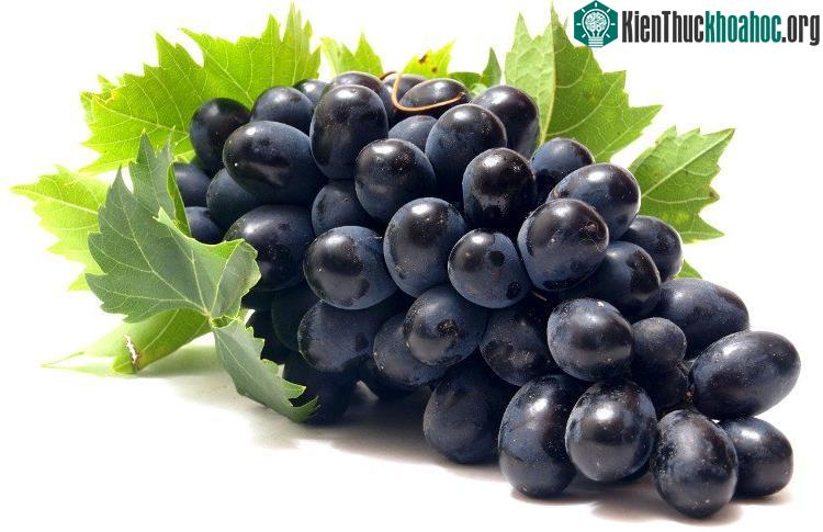 Nho chứa rất nhiều hợp chất lupeol, ngăn chặn kết tủa canxi cần thiết cho hoạt động của tinh trùng.