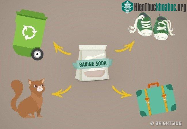Baking soda cũng là một chất khử mùi mạnh và hiệu quả.