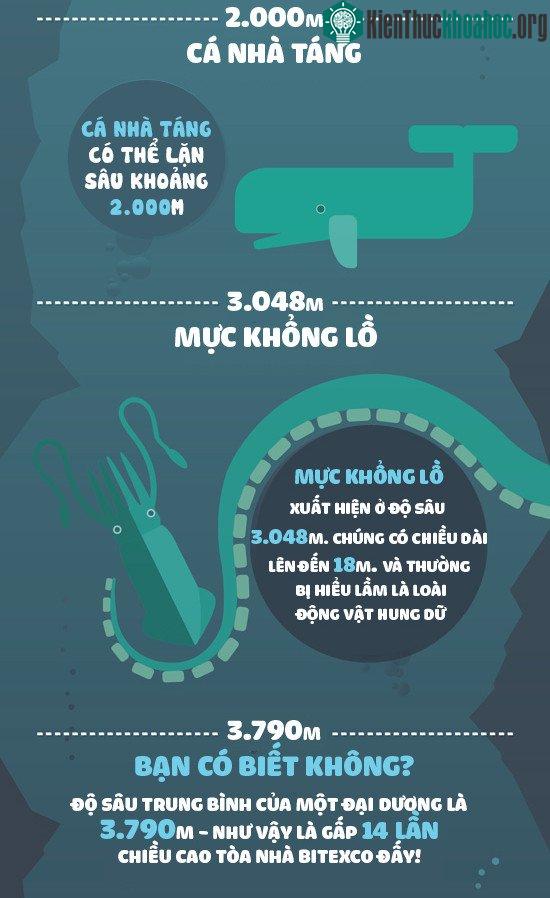 Cá nhà táng