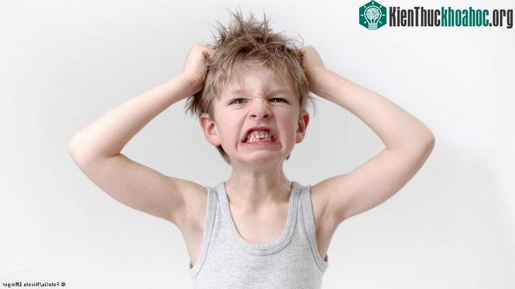 Con người sẽ dễ bị kích động hơn. (Ảnh Fotolia/Nicole Effinger).
