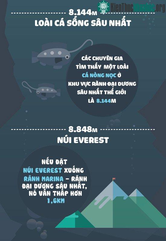 Loài cá sống sâu nhất