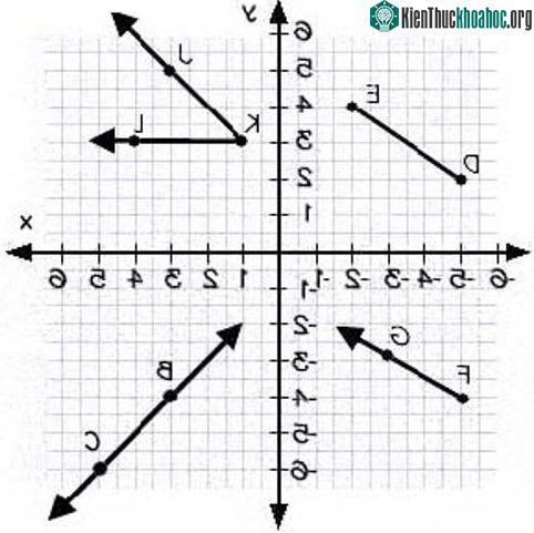 Hình học tọa độ ra đời khi Descartes mô tả chính xác tọa độ bay của con ruồi.
