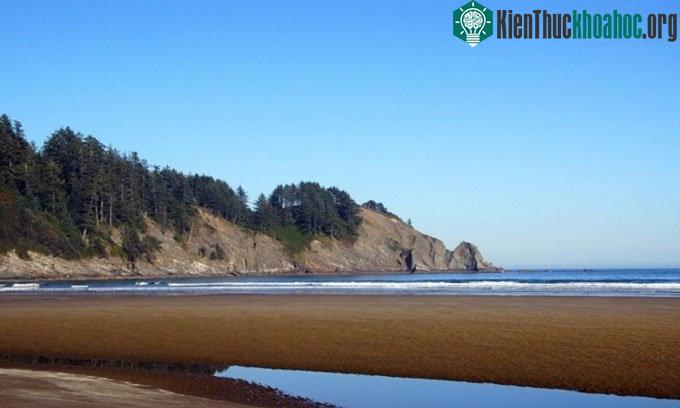 Có nhiều con đường mòn dẫn đến bãi biển ở công viên Oswald West thuộc tiểu bang Oregon, Mỹ