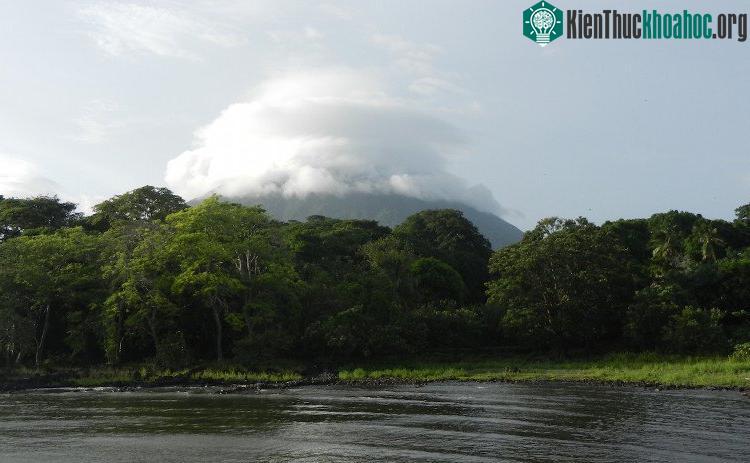 Nicaragua là nơi duy nhất trên thế giới có cá mập nước ngọt sống.