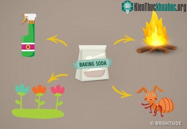 Baking soda là một chất "đa năng".