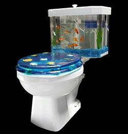 Toilet kiêm bể cá ảnh 0