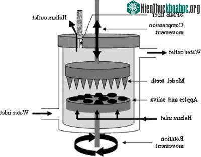 Sáng chế miệng nhân tạo cho robot ảnh 0