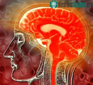 Cảm biến từ trường siêu nhạy mới cho phép nghiên cứu não dễ dàng hơn ảnh 0