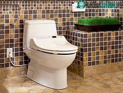 Bồn cầu không cần giấy vệ sinh ảnh 1
