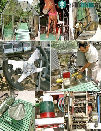 Xe hơi <i>“một sức ngựa”</i> ảnh 2