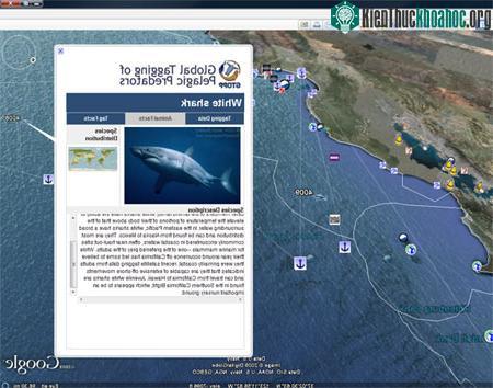 Hình ảnh đại dương kỳ thú trên Google Earth ảnh 5