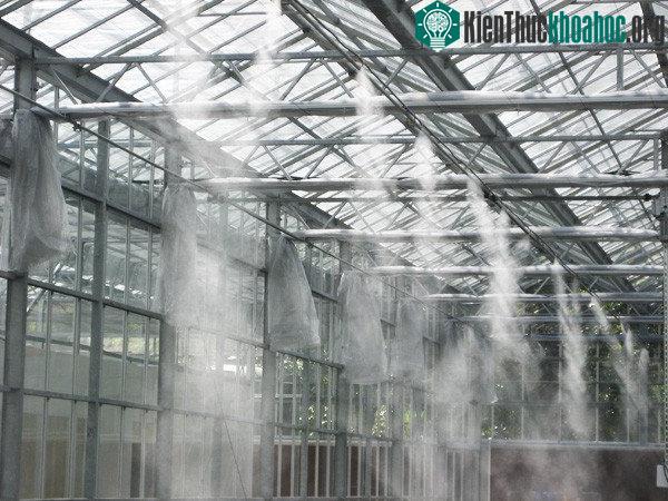 Đối với những mô hình nuôi gà trang trại, cần nên có hệ thống giàn phun sương cho vật nuôi.