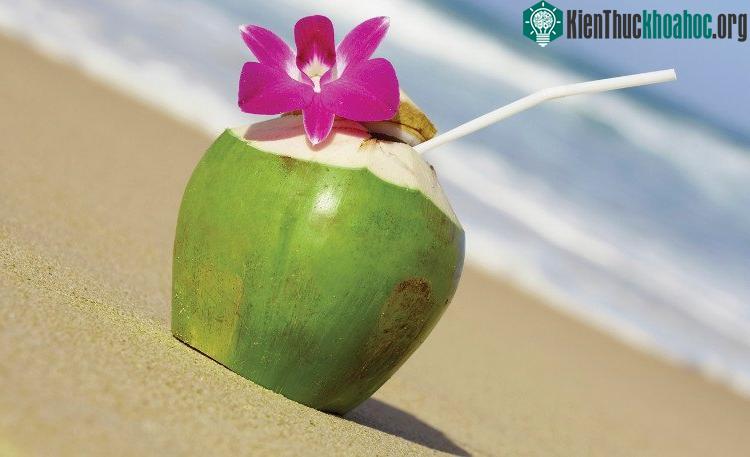 Dừa tươi giải khát cho cơ thể hiệu quả. (Ảnh: Pin).