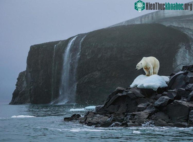 Băng ở hai đầu cực đang tan nhanh. (Ảnh: National Geographic).