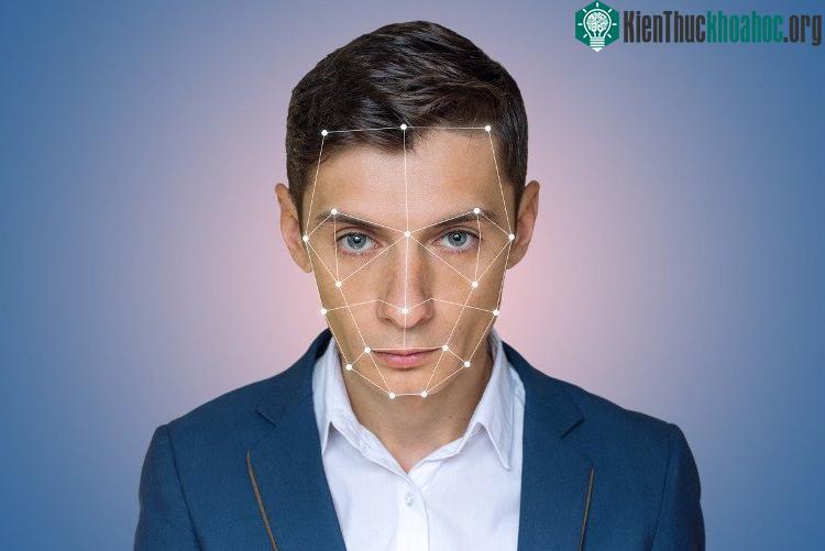 Các nhà khoa học đã tái tạo được khuôn mặt từ tín hiệu não của khỉ macaque.