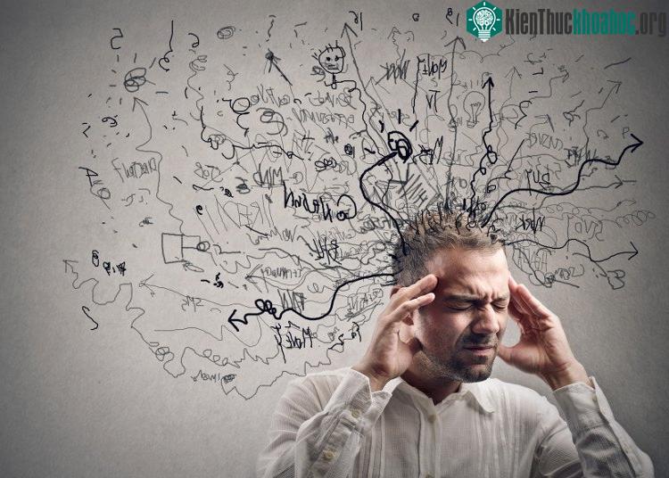 Ăn đêm gây tổn hại trí nhớ.