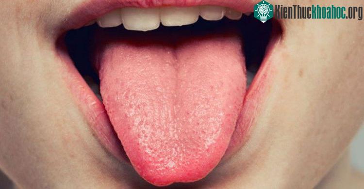 Lưỡi có thể cảm nhận được mùi vị của nước. (Ảnh: Irina Bg).