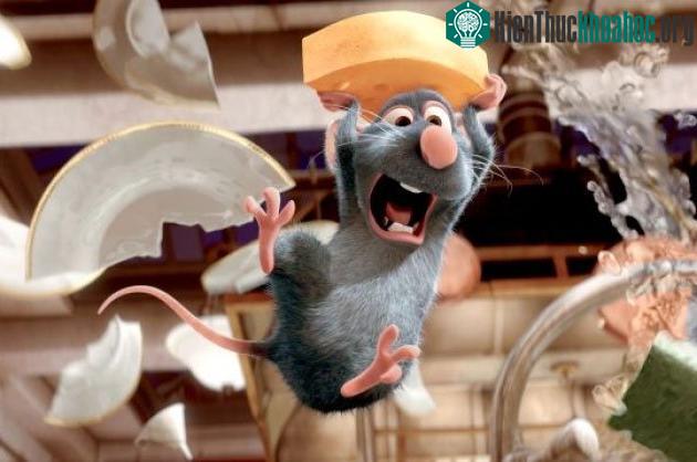 Việc xuất hiện bộ đôi chuột - phô mai đơn giản chỉ là do lầm tưởng của những người Trung cổ.
