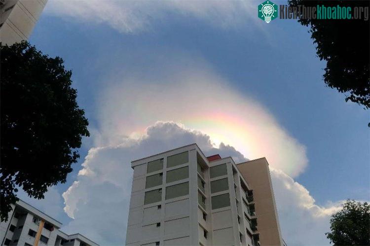 Hình ảnh cầu vồng lửa ở Singapore ngày 15/6. (Ảnh: Tay Cheong Soon).